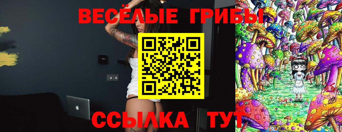 Галлюциногенные грибы мицелий  Галлюциногенные грибы Psilocybine cubensis  Прокопьевск  наркотики  Вход с VPN 